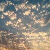 shesintheclouds